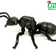 A - Figura Hangya Fényes Fekete 9 cm