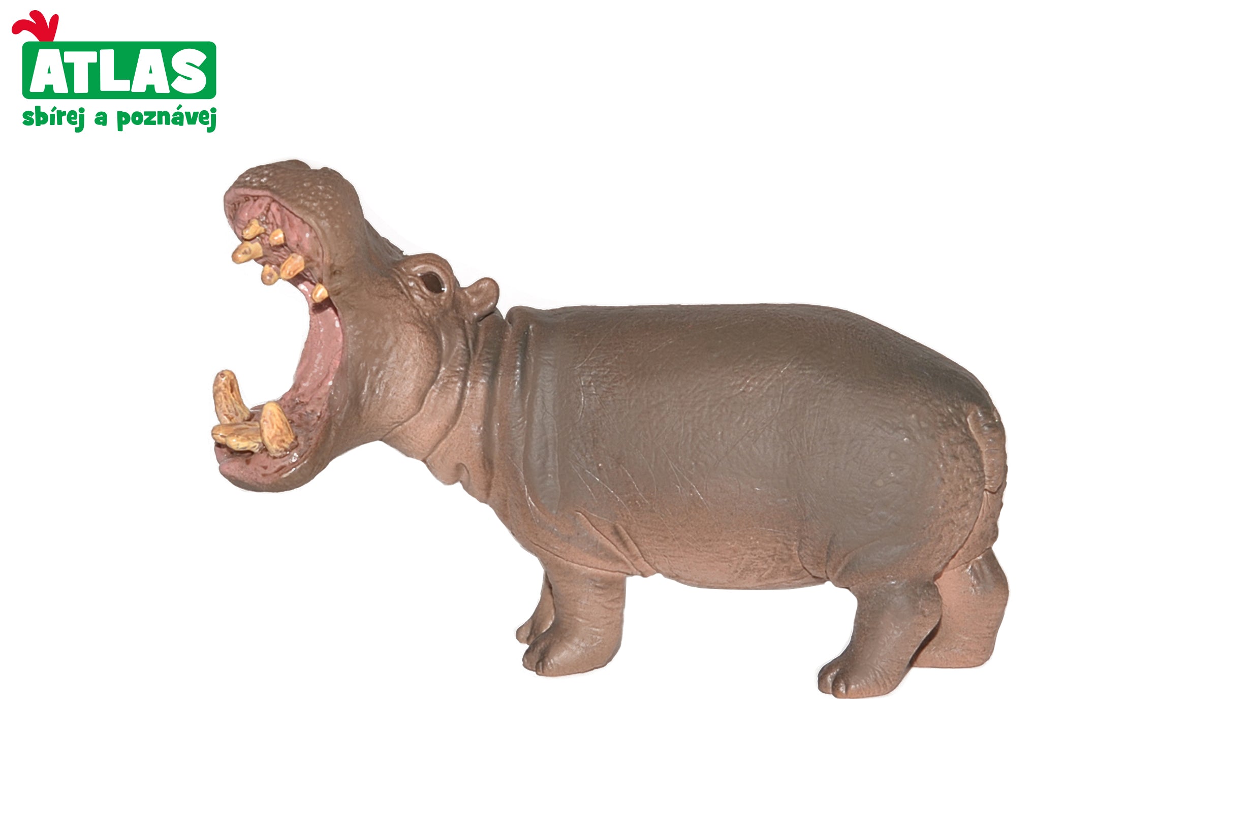 B - Figurina Ippopotamo 10 Cm