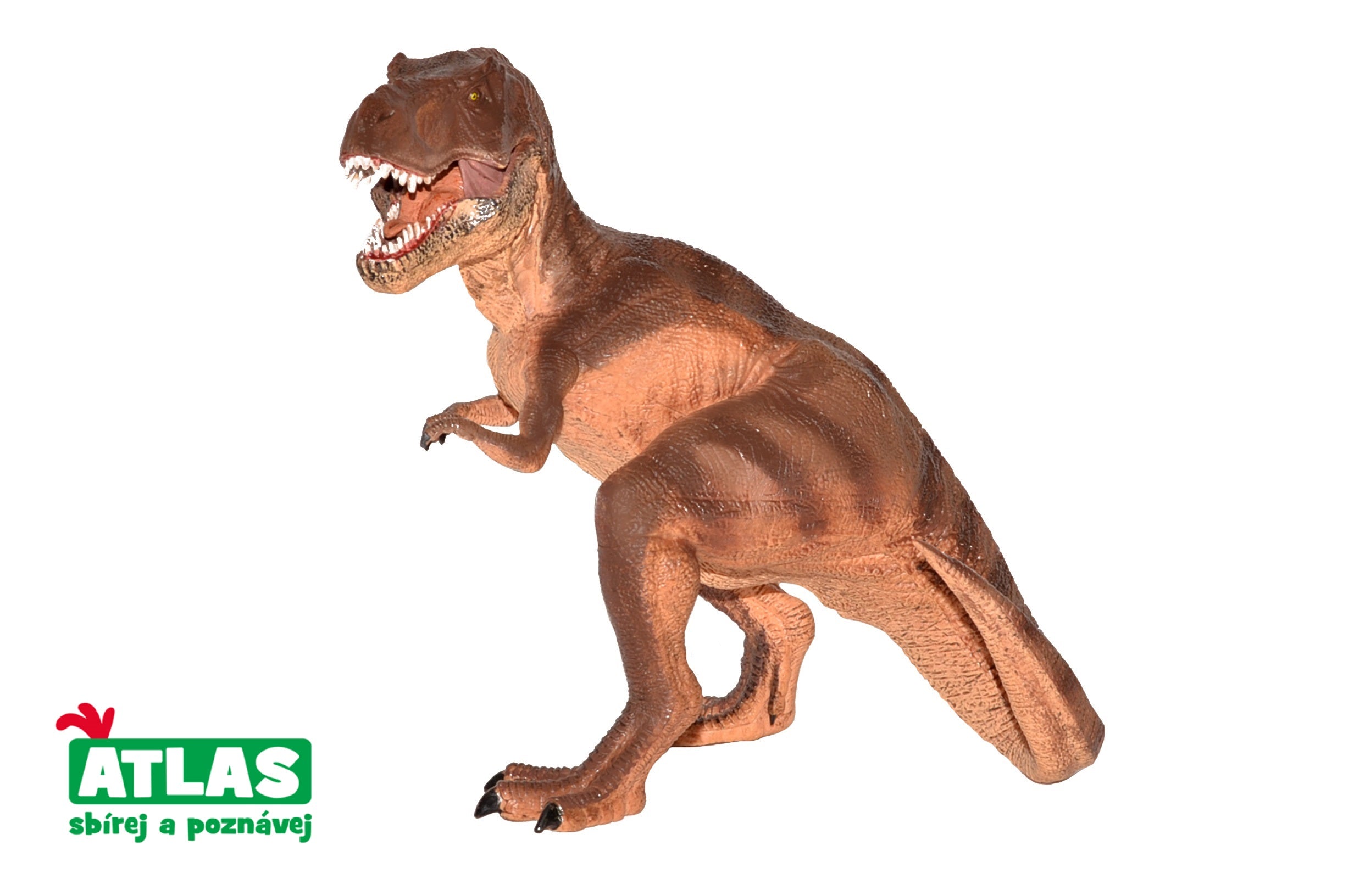 G - Figura Dino Tiranosaurio Rex 22 Cm