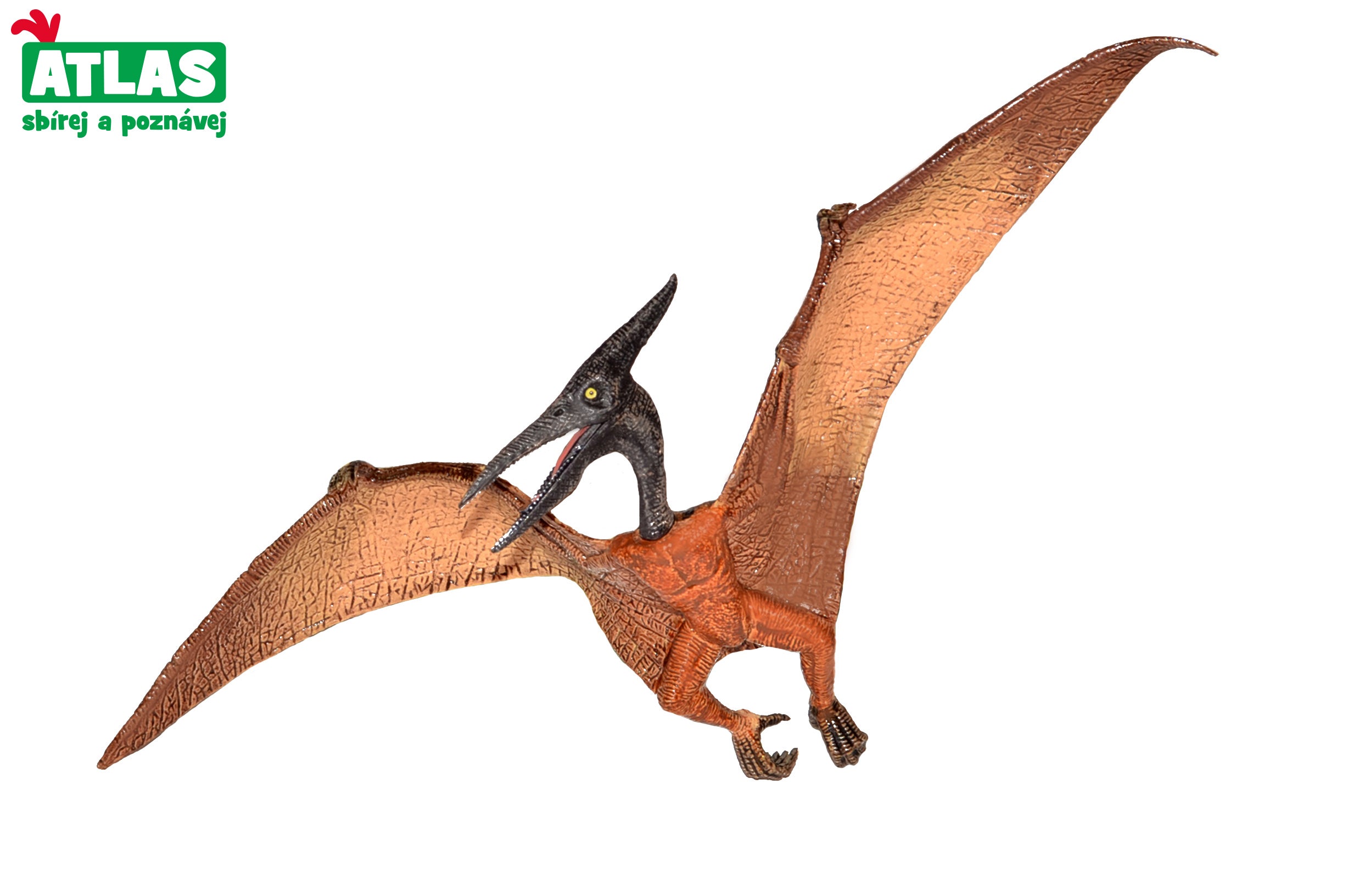 C - Dino Pteranodon Figura 22 Cm