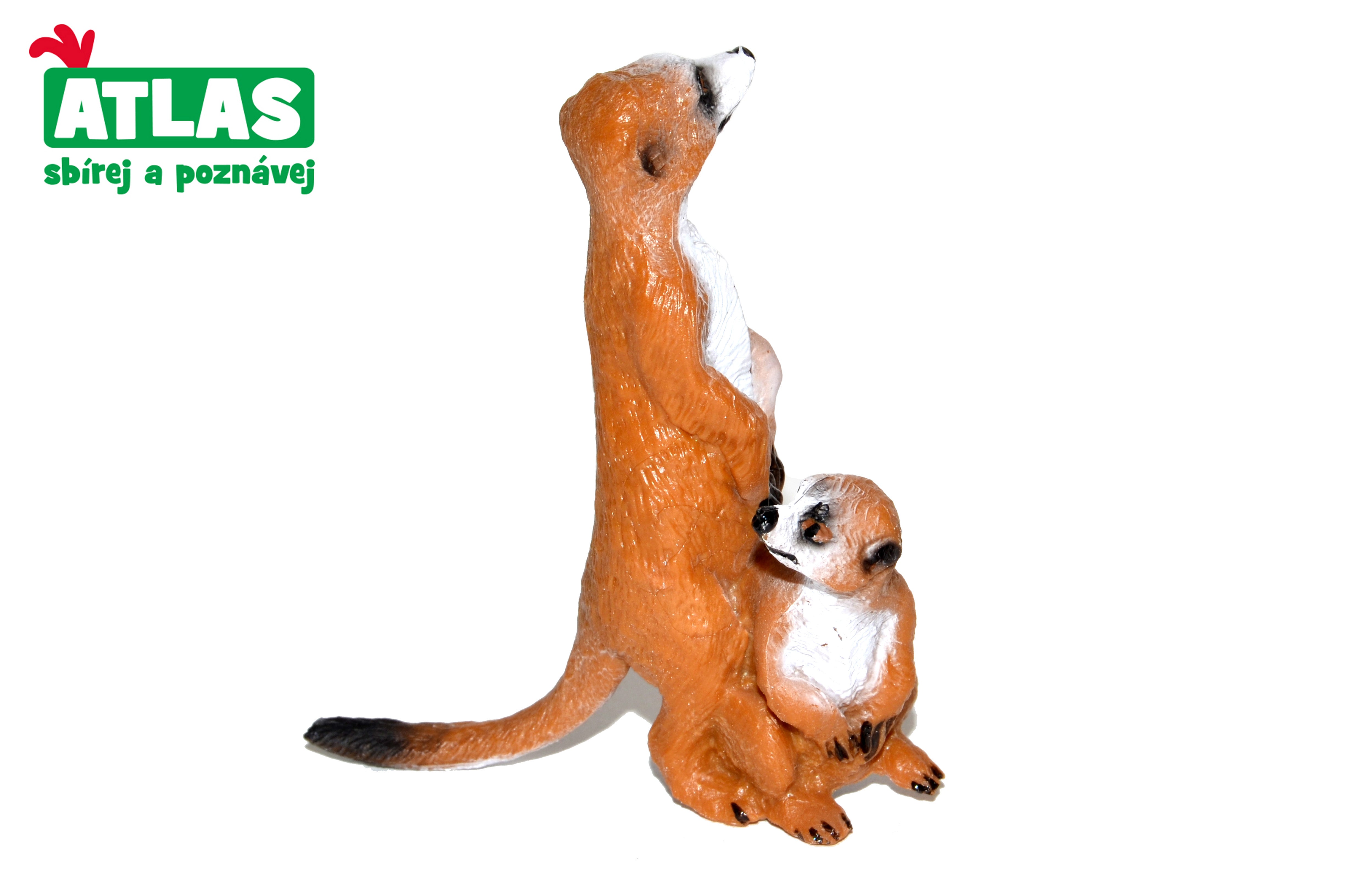 B - Estatueta de suricato