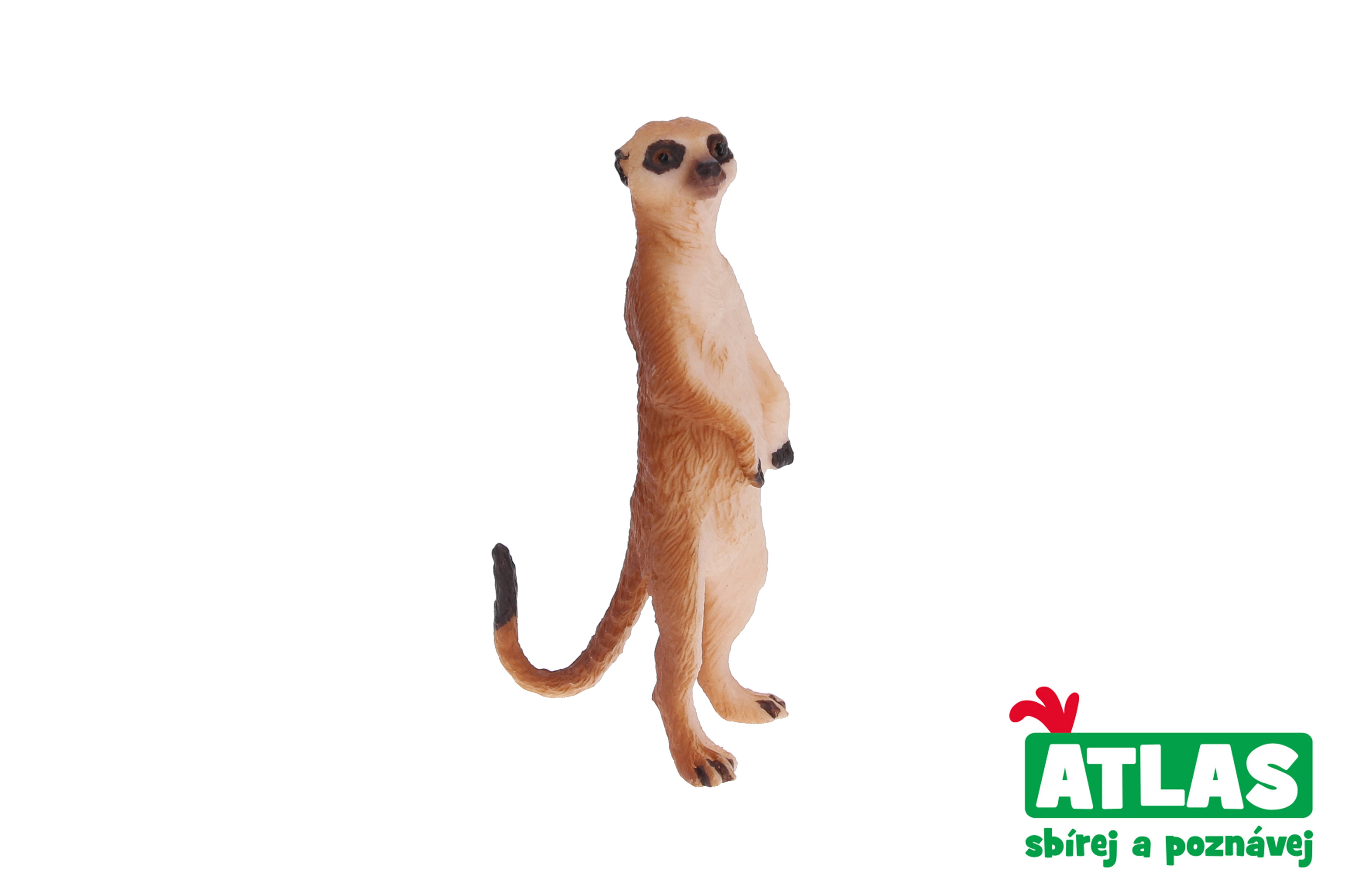 A - Figurine Suricate 7 Cm