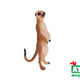 A - Figurine Suricate 7 Cm