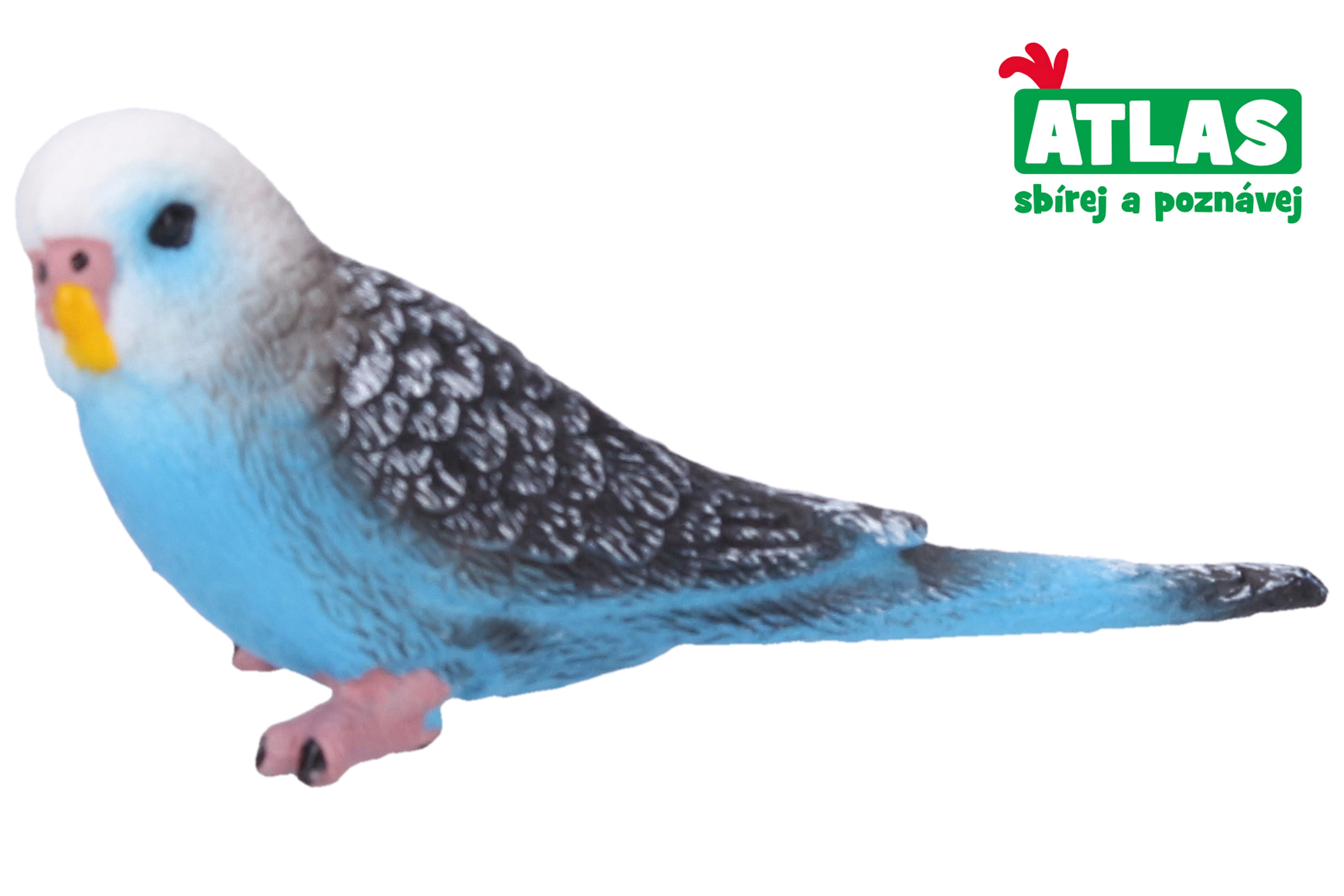A - Figurine Budgie 7.5 Cm