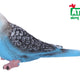 A - Figurine Budgie 7.5 Cm