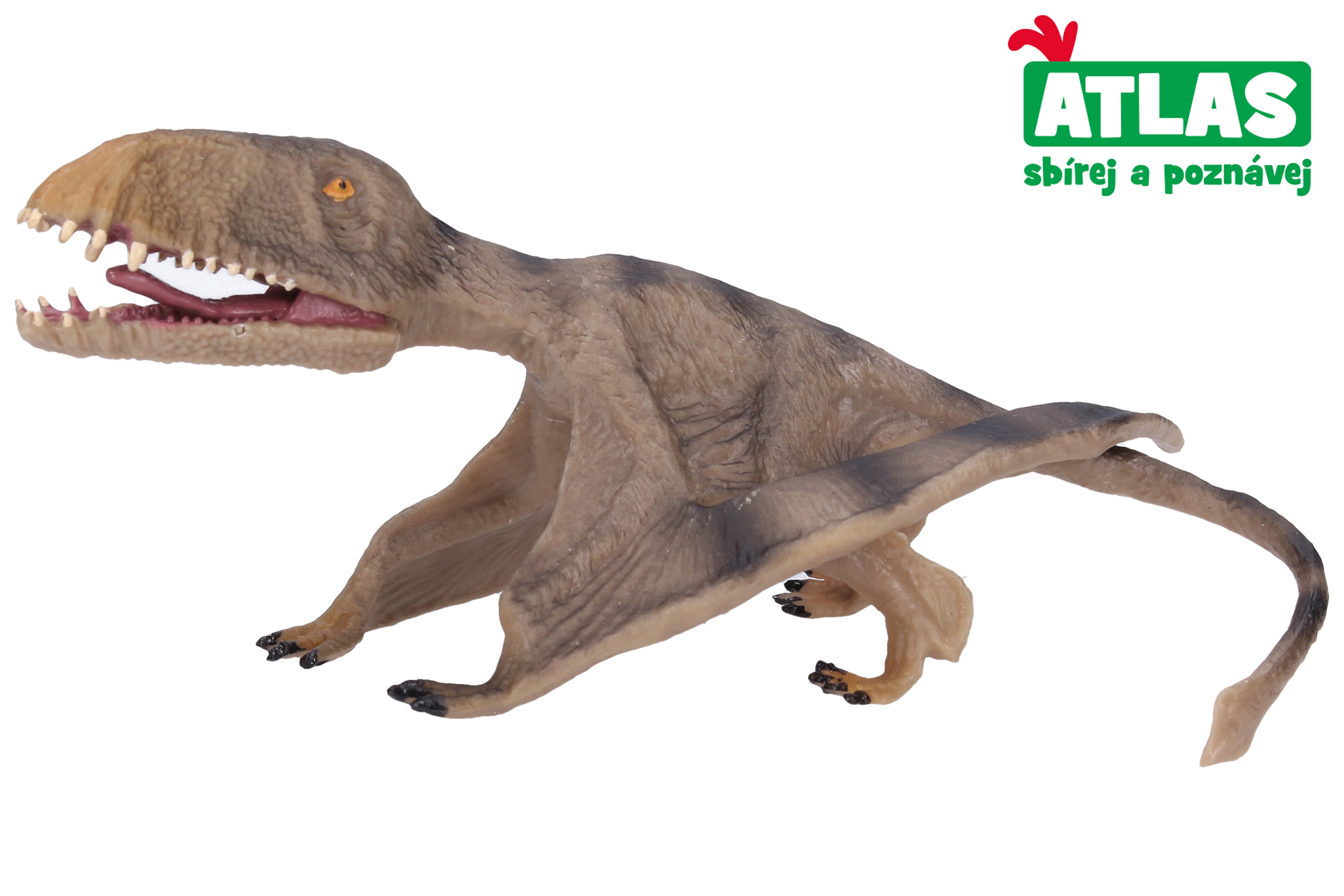 B - Pterosauro Figura 17,2 Cm