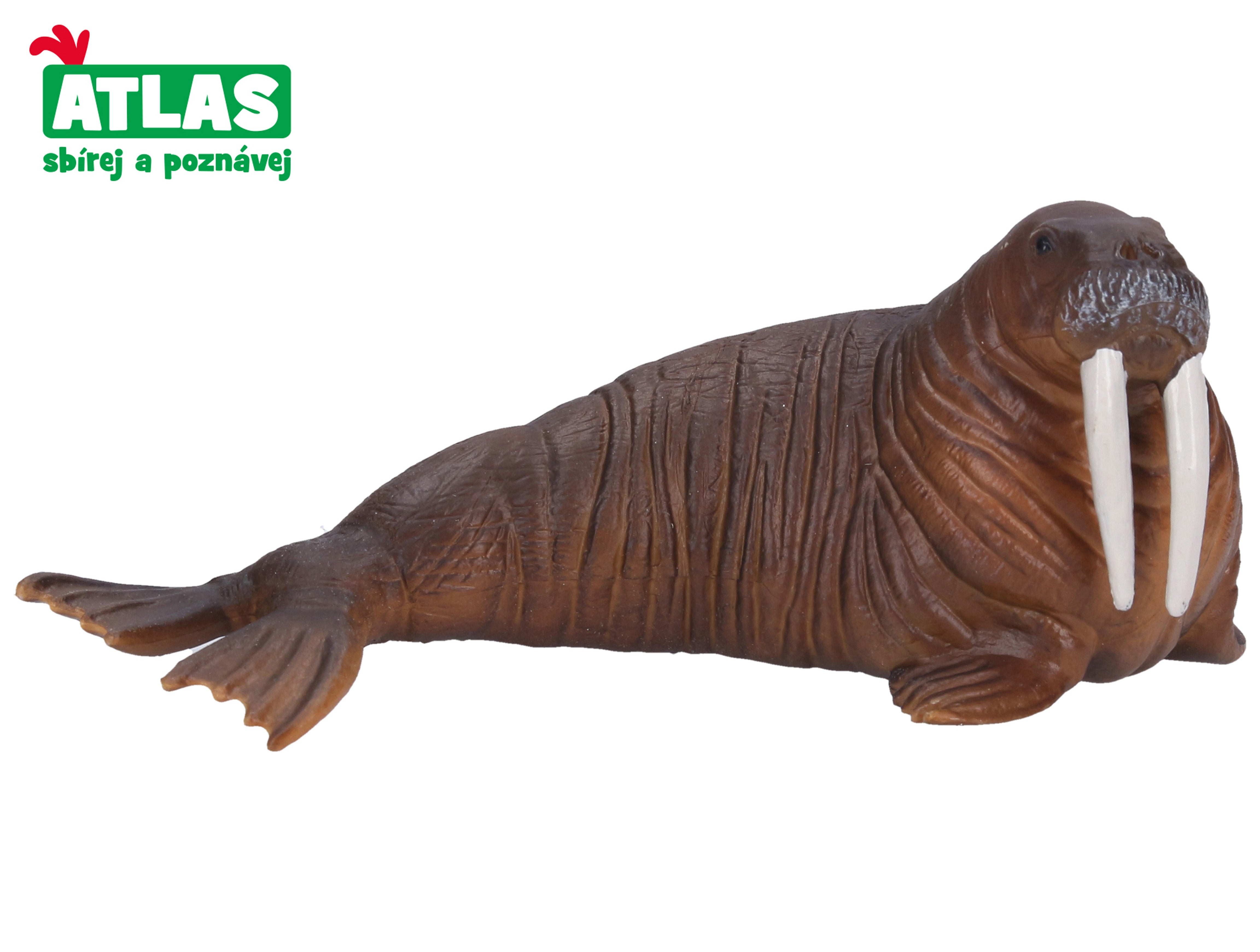 E - Valrossfigur 13 Cm