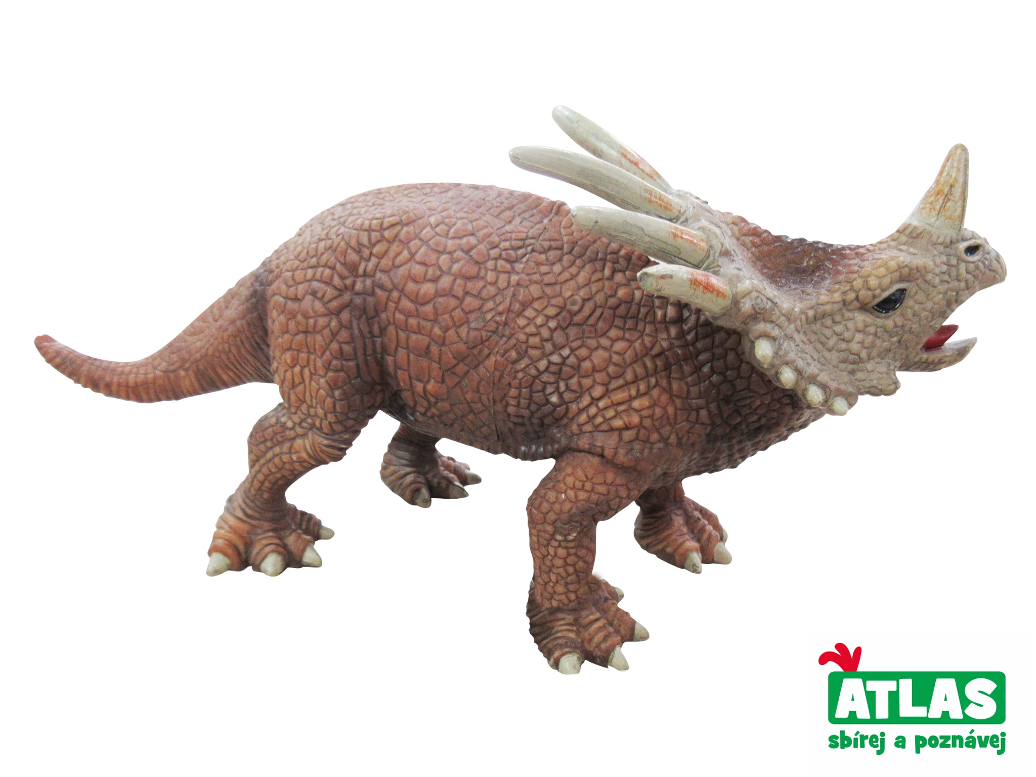 G - Figúrka Dino Styracosaurus 30 cm