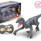 Télécommande Raptor Rc Gris 45 Cm
