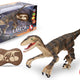 Télécommande Raptor Rc Marron 45 Cm