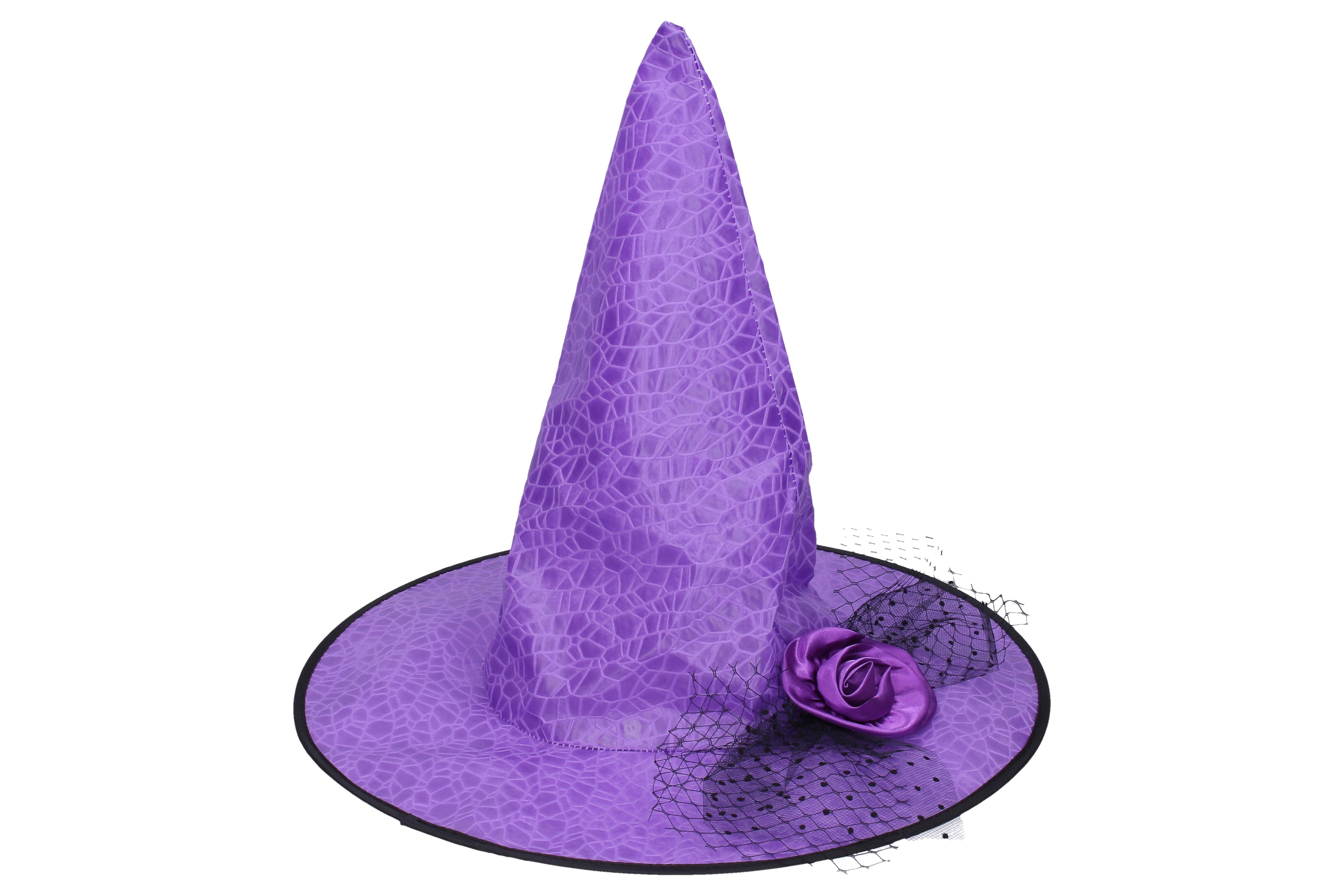 Carnival Set - Witch Hat Purple