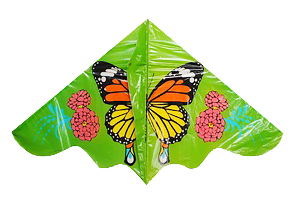 Fluture Dragon Zburator 60 X 116 Cm - Ambalaj Cehe