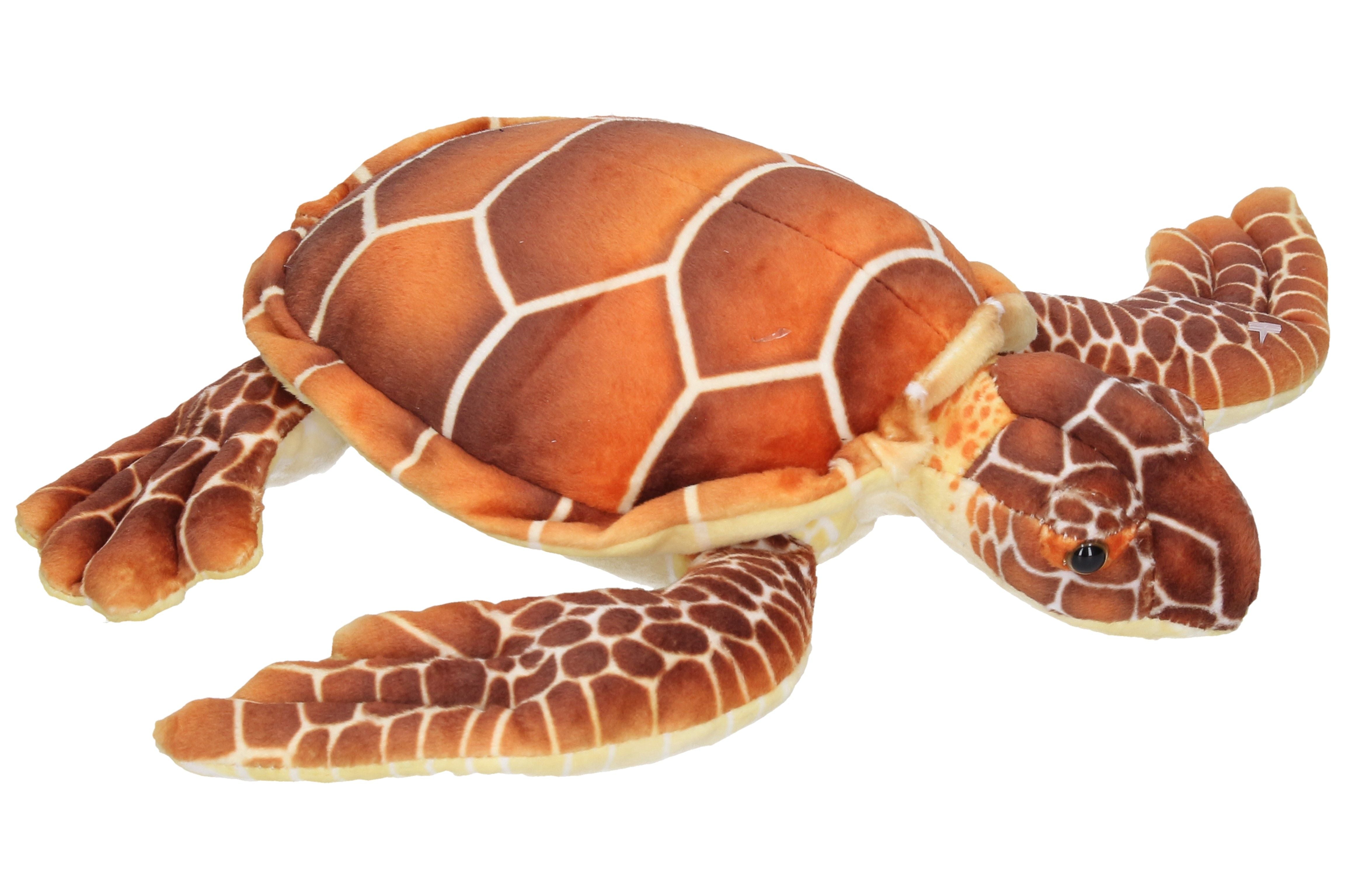 Tortuga 32Cm