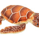 Tortuga 32Cm