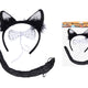 Set Carnaval - Cat