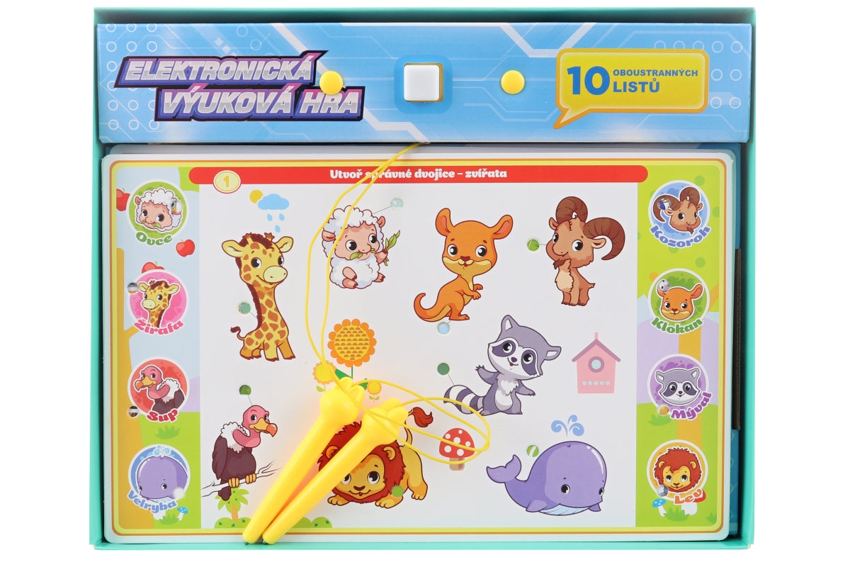 Electronic Educational Game Cz