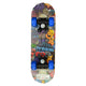 Skateboard Partydroom 43 Cm