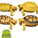 Turtle Figurine 4 Species 9 Cm