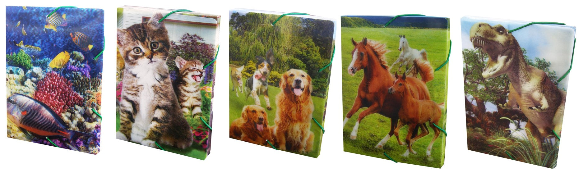 A5 Notebook Box With Eraser 3d Mix