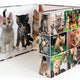 Archivador de palanca de diseño A4 7,5 cm de cartón Gatos