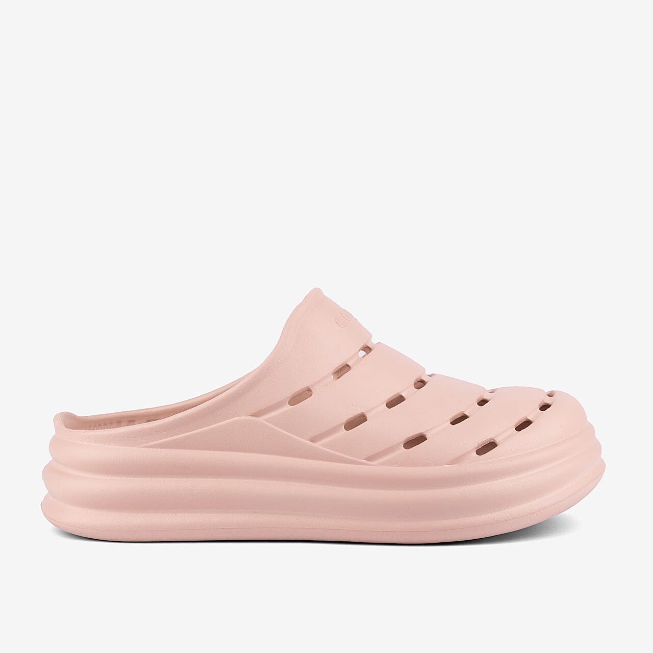 Dametræsko Coqui