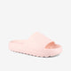 Dame Slides Coqui