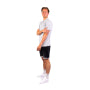 Polo Lacoste Homme