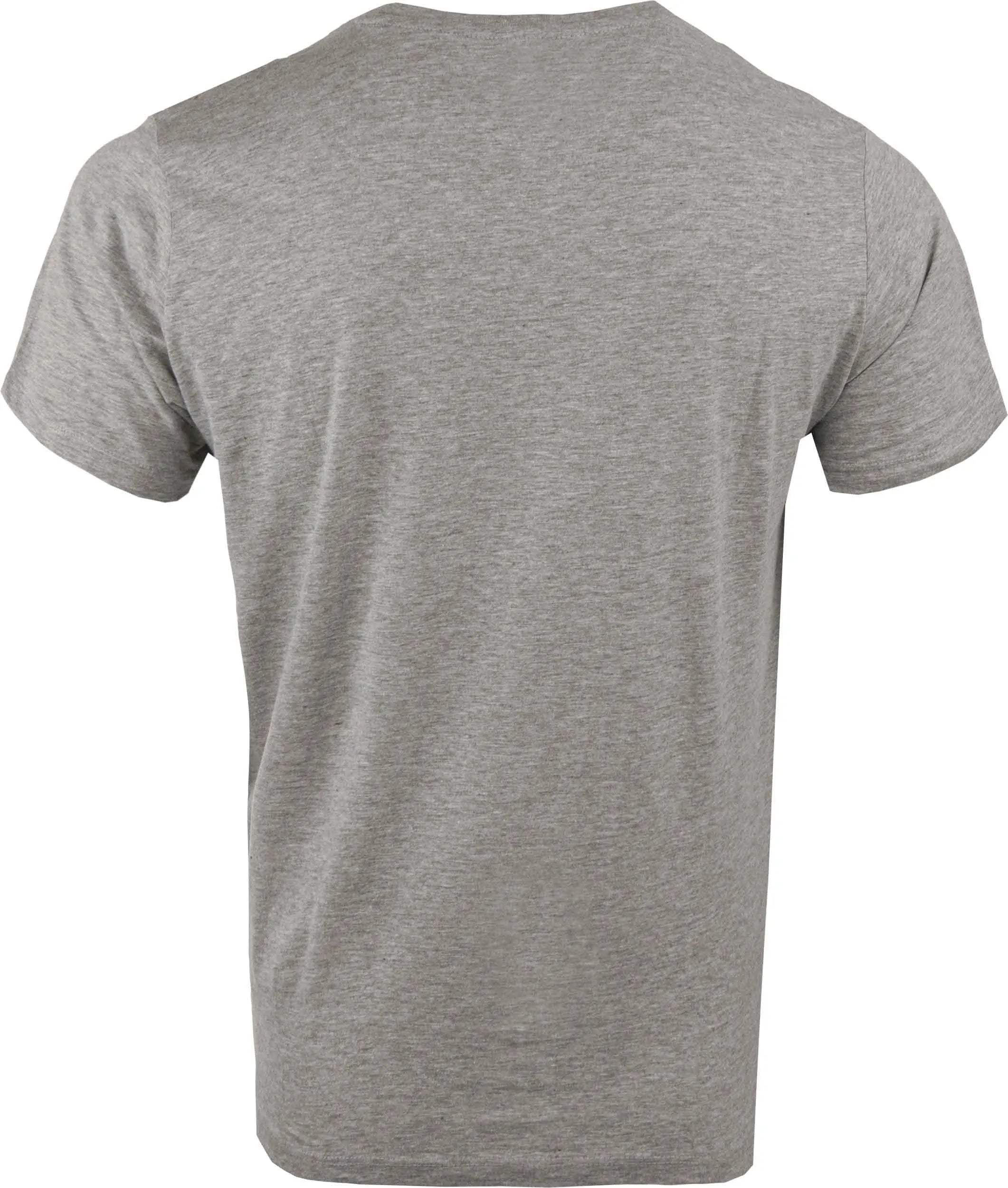 Camiseta hombre Athl. Dpt Ontario Gris Melange