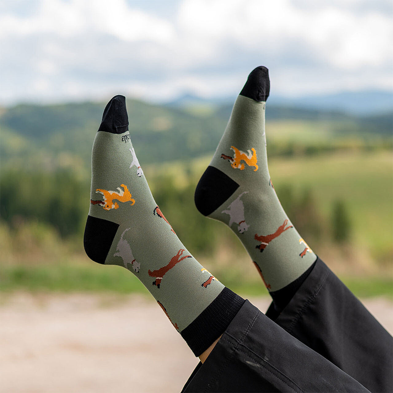 Socks Coqui