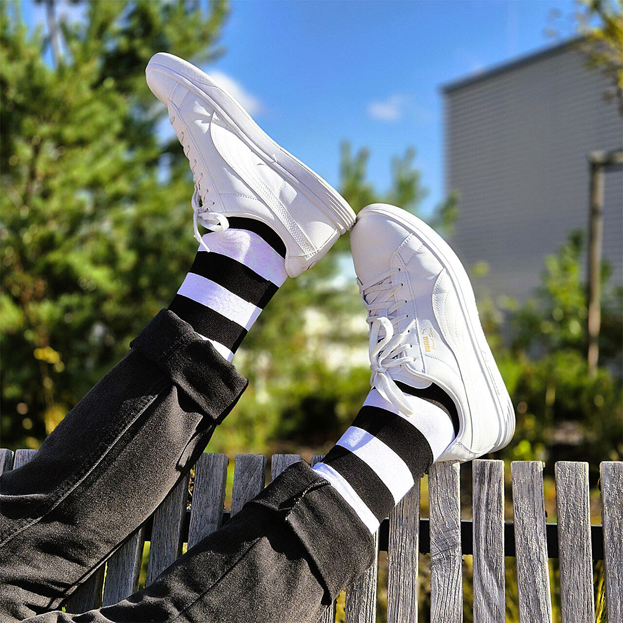 Socks Coqui