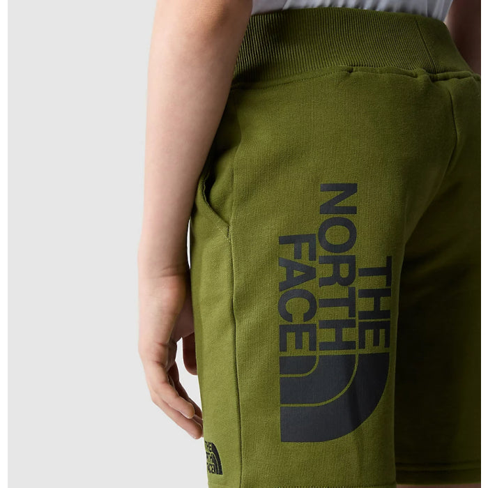 Pantaloncini casual da ragazzo di The North Face