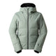 The North Face Ski Jacket Men