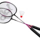 Beco Badminton Set