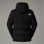 The North Face Ski Jacket Men