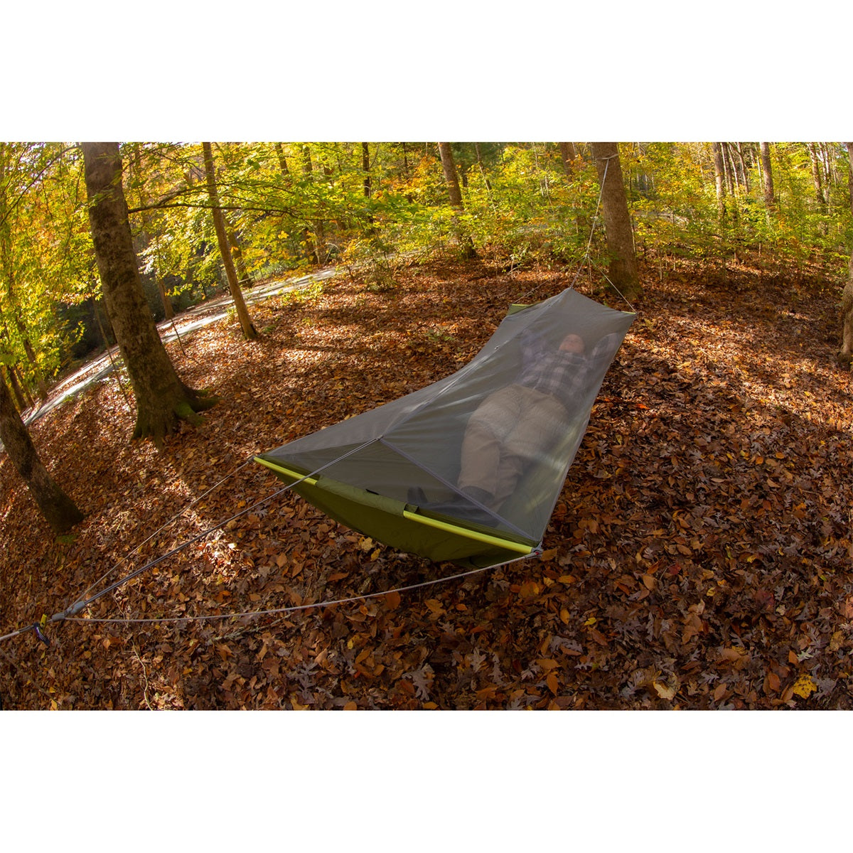 Eno Skylite Pacific