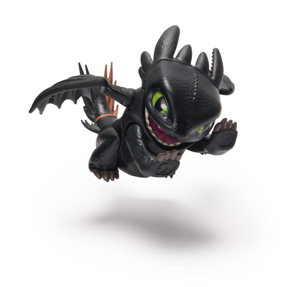 Dwd Ina Mvminiintrctivedragon Toothless