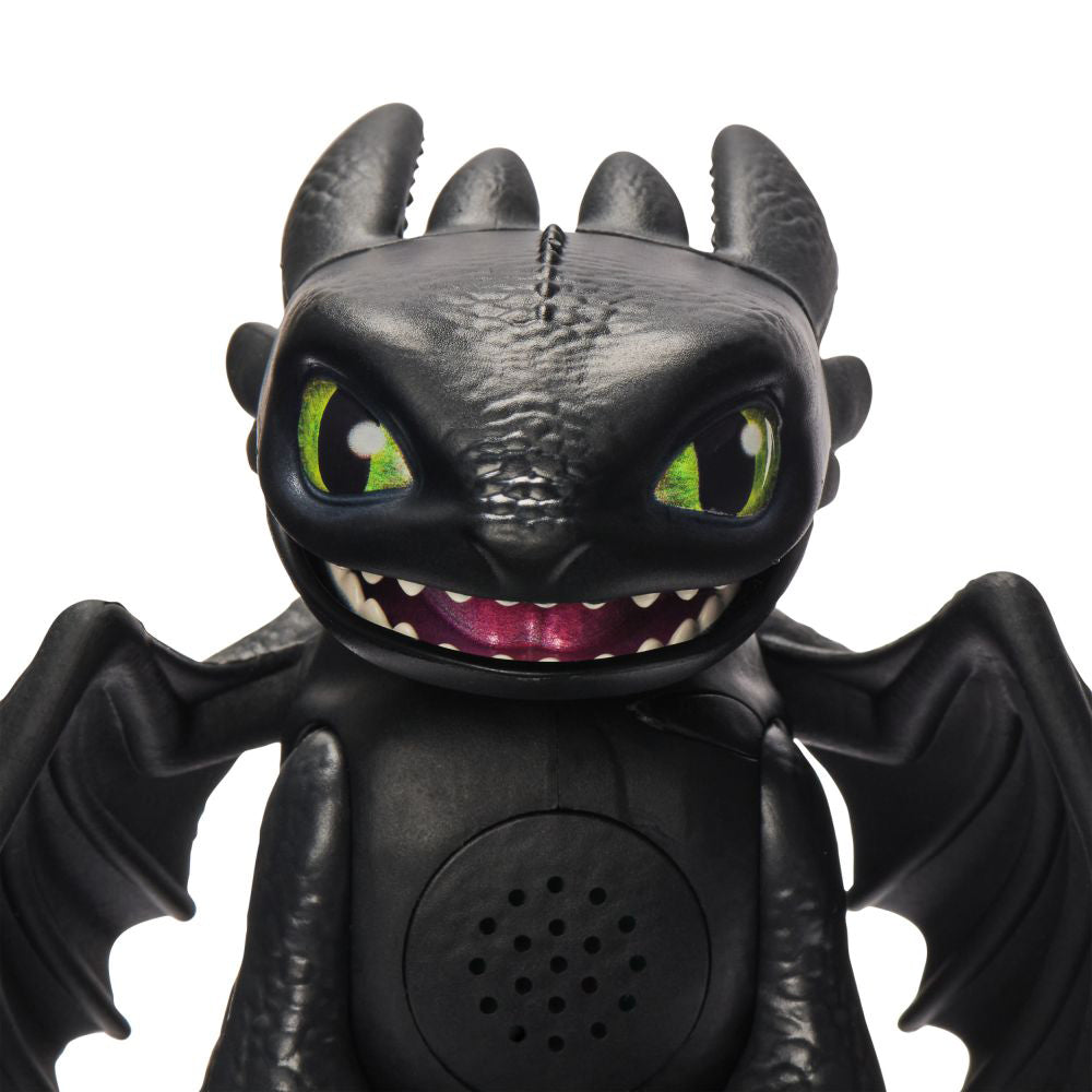 Dwd Ina Mvminiintrctivedragon Toothless