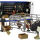 Sada figurín z farmářských zvířat Farmer Birds