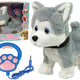 Plush Dog Interactive Educational Leash Songs Walks