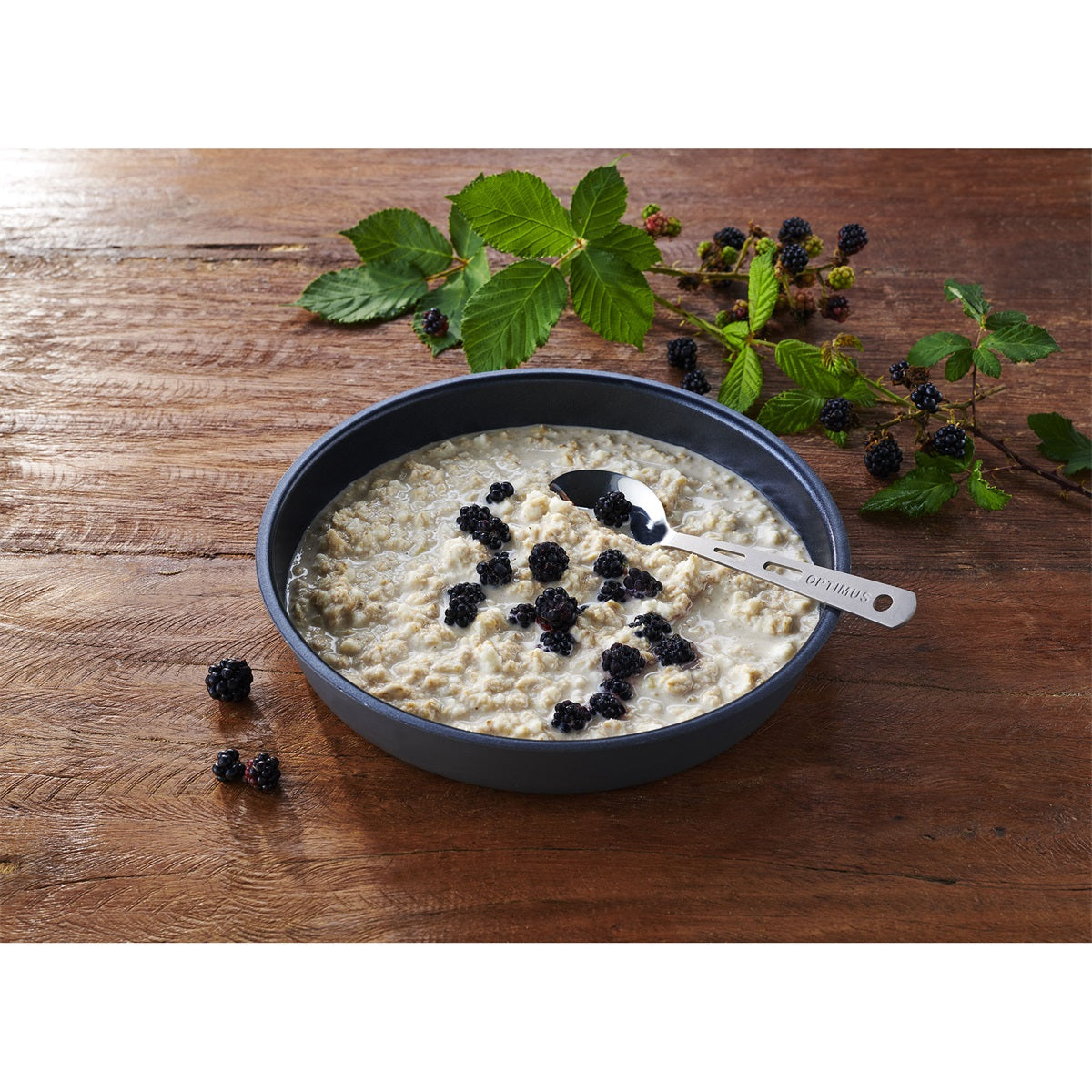 Trek'n Eat Emergency Food Protein Porridge