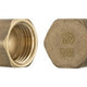 Brass Connector Plug 1/2''