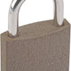 Cast Iron Padlock 50mm 2 Keys