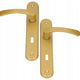 Maniglia Per Porta Verniciata Oro 90mm Per Cilindro