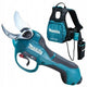 Accu Tuinsnoeischaar 2*18 V 0*ah