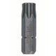 Punta Eje Punta T40 25mm Exh 25uds