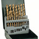 Set burghie metal Hss-stan 19 buc 1-10mm
