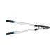 Ideal Straight Anvil Pruning Shear