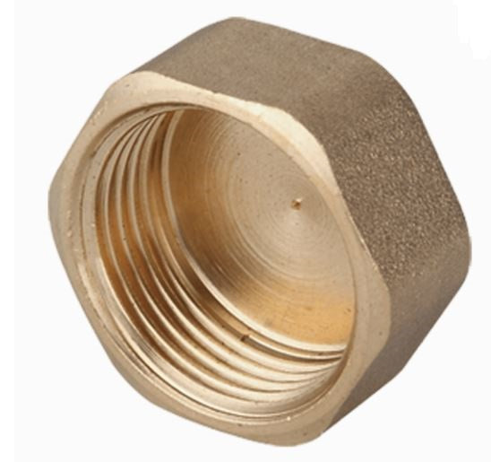 Brass Connector Plug 1''