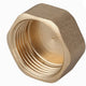 Brass Connector Plug 1''