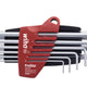 Set Of Shank Wrenches With Prostar Handle 10 Pcs. Blister